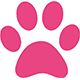 Pets Companion App